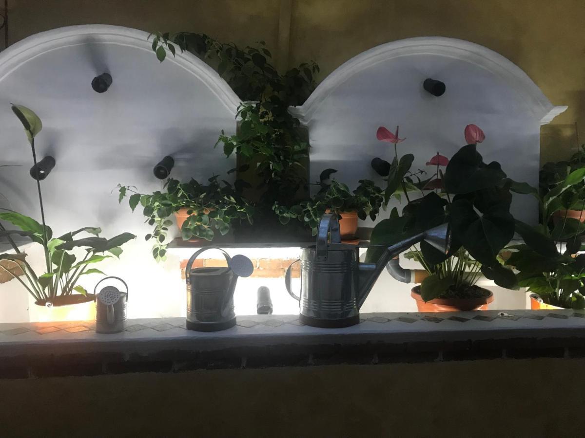 Hotel Boutique Casa Jose 코반 외부 사진