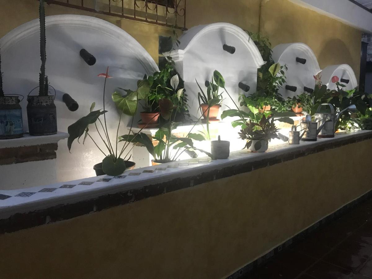 Hotel Boutique Casa Jose 코반 외부 사진